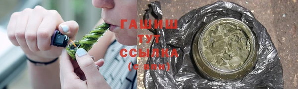 сатива Беломорск
