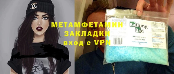 сатива Беломорск