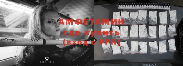 сатива Беломорск
