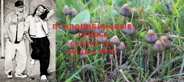 тгк Белокуриха
