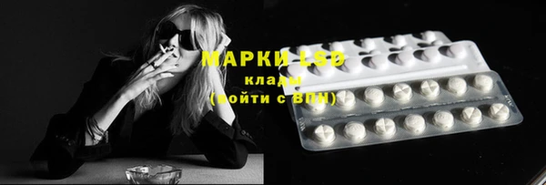 сатива Беломорск