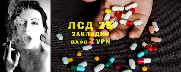 сатива Беломорск