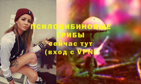 тгк Белокуриха