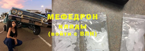 сатива Беломорск