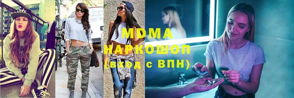 сатива Беломорск