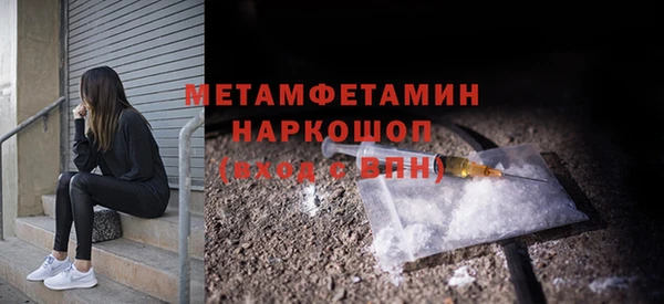 сатива Беломорск