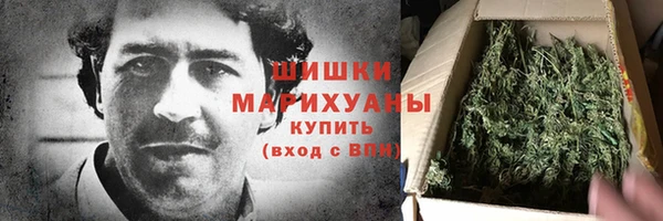 сатива Беломорск