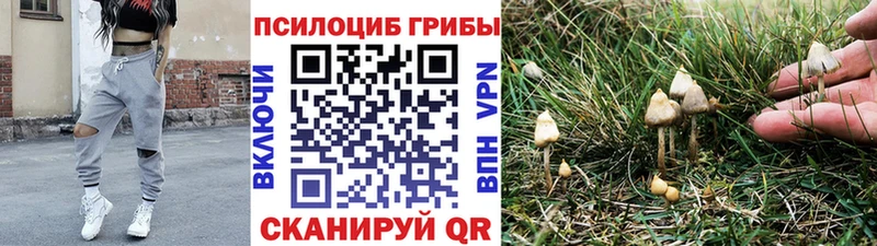 гидра Чегем Псилоцибиновые грибы Magic Shrooms